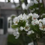 Casa Lucinda לינה וארוחת בוקר גנט