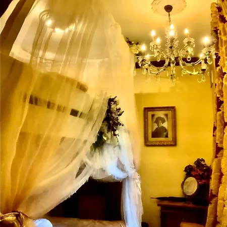 Casa Lucinda * Ghent