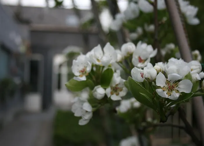 Casa Lucinda Frühstückspension Gent